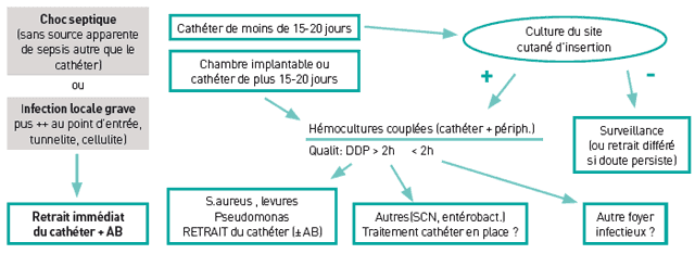 Diagnostic des infections liées aux cvc