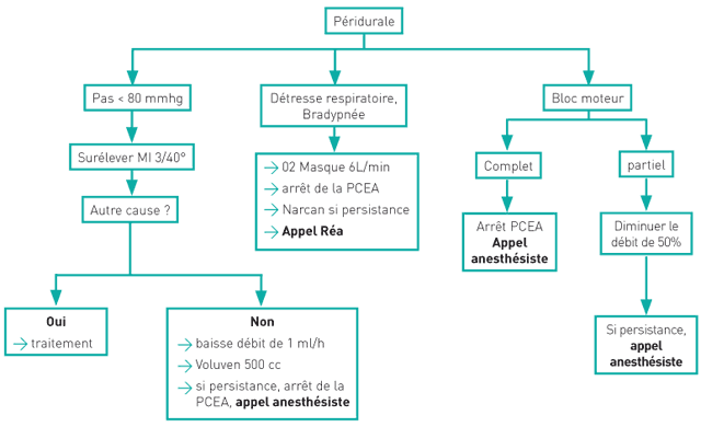 Analgésie postopératoire - Anesthésie loco-régionale